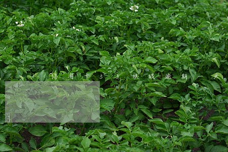信用卡53块钱逾期一天