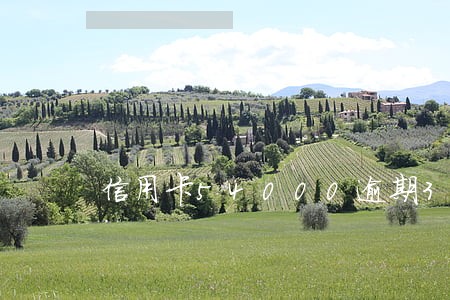 信用卡54000逾期3个月了