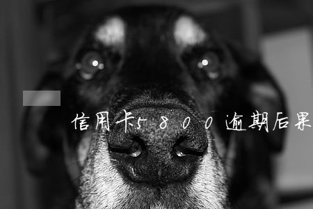 信用卡5800逾期后果