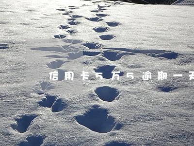 信用卡5万5逾期一天 信用卡5万5逾期一天