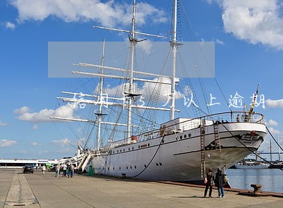 信用卡5万以上逾期一个月 信用卡5万以上逾期一个月