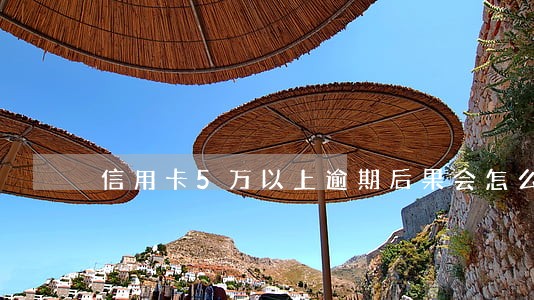 信用卡5万以上逾期后果会怎么样 信用卡5万以上逾期后果会怎么样