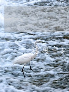 信用卡5万块逾期3个月 信用卡5万块逾期3个月