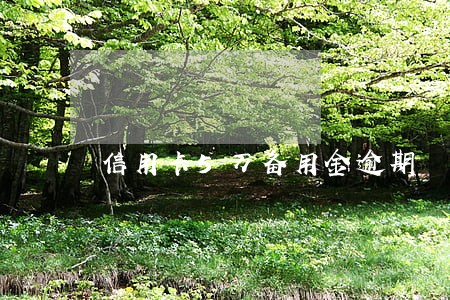 信用卡5万备用金逾期 信用卡5万备用金逾期