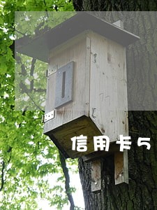 信用卡5万多逾期三个多月 信用卡5万多逾期三个多月