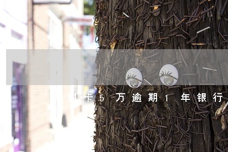 信用卡5万逾期1年银行说报案 信用卡5万逾期1年银行说报案