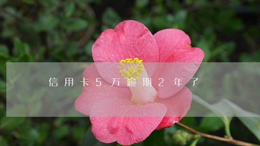 信用卡5万逾期2年了