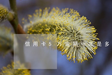 信用卡5万逾期一年是多少 信用卡5万逾期一年是多少