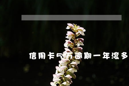 信用卡5万逾期一年滚多少钱 信用卡5万逾期一年滚多少钱