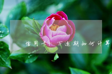 信用卡5万逾期如何计算 信用卡5万逾期如何计算