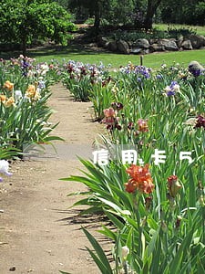 信用卡5万逾期就要坐牢吗 信用卡5万逾期就要坐牢吗