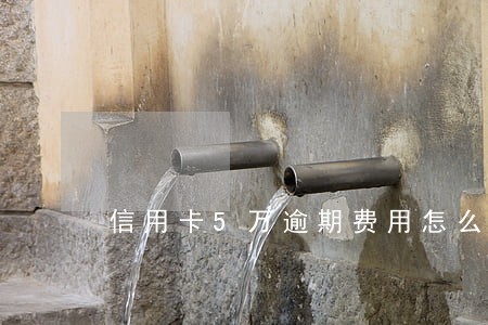 信用卡5万逾期费用怎么算 信用卡5万逾期费用怎么算