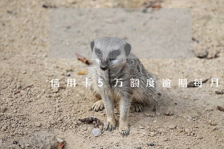 信用卡5万额度逾期每月利息多少