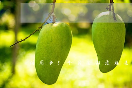 信用卡5个月逾期没超过90天