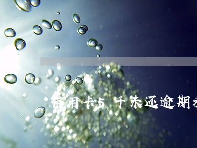 信用卡5千未还逾期利息多少 信用卡5千未还逾期利息多少