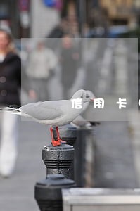 信用卡5千未还逾期利息多少钱