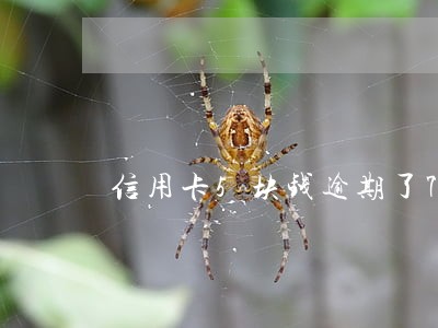 信用卡5块钱逾期了7天严重吗 信用卡5块钱逾期了7天严重吗