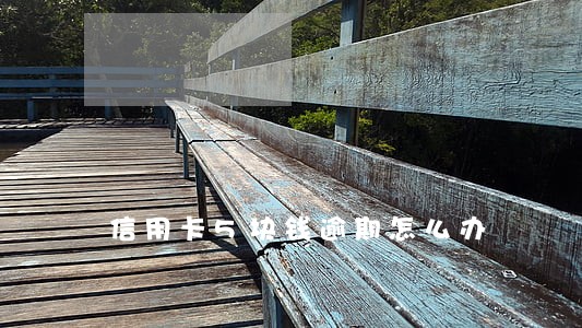 信用卡5块钱逾期怎么办 信用卡5块钱逾期怎么办
