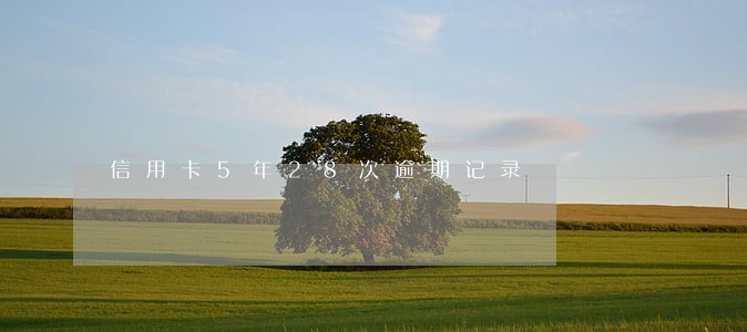 信用卡5年28次逾期记录 信用卡5年28次逾期记录