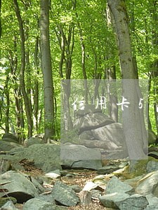 信用卡5年2次逾期