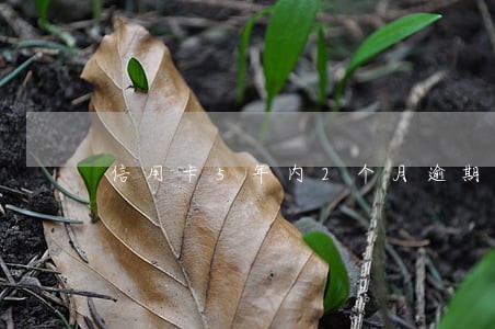 信用卡5年内2个月逾期 信用卡5年内2个月逾期