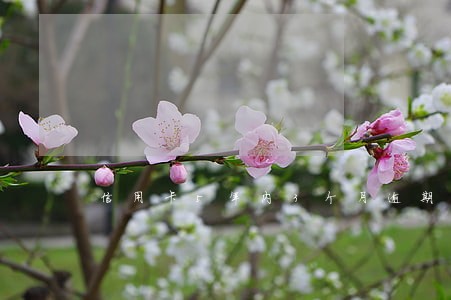 信用卡5年内3个月逾期怎么办 信用卡5年内3个月逾期怎么办