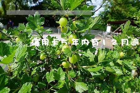 信用卡5年内有12月逾期