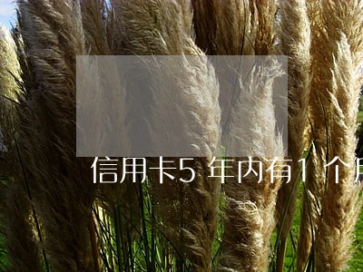 信用卡5年内有1个月处于逾期