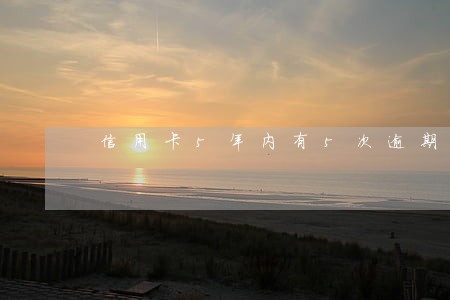 信用卡5年内有5次逾期 信用卡5年内有5次逾期