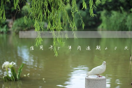 信用卡5年内逾期20次