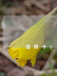 信用卡5年内逾期30次 信用卡5年内逾期30次