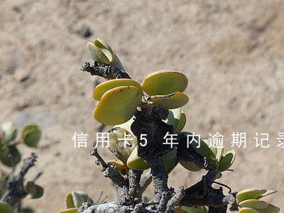信用卡5年内逾期记录 信用卡5年内逾期记录