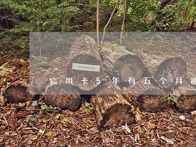 信用卡5年有五个月逾期 信用卡5年有五个月逾期