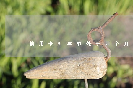 信用卡5年有处于四个月逾期 信用卡5年有处于四个月逾期