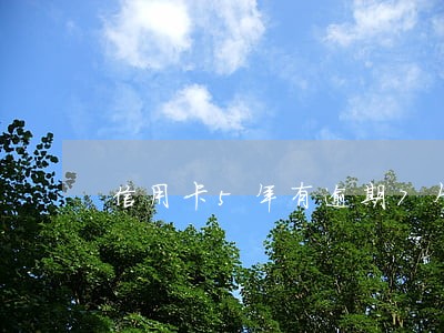 信用卡5年有逾期7个月 信用卡5年有逾期7个月