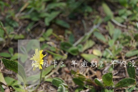 信用卡5年逾期2年内没有征信