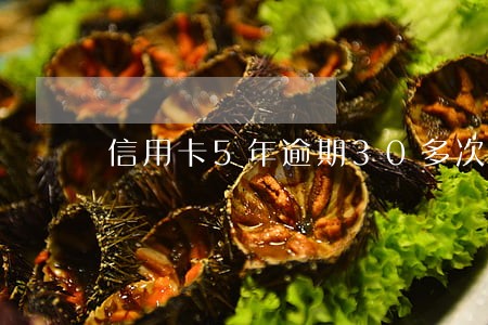 信用卡5年逾期30多次 信用卡5年逾期30多次