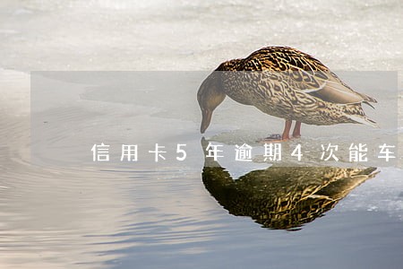 信用卡5年逾期4次能车贷吗 信用卡5年逾期4次能车贷吗