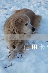 信用卡5年逾期十个月 信用卡5年逾期十个月