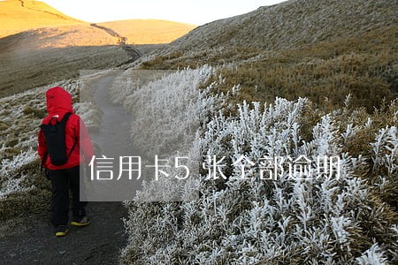 信用卡5张全部逾期