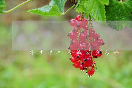 信用卡5次逾期会怎样 信用卡5次逾期会怎样