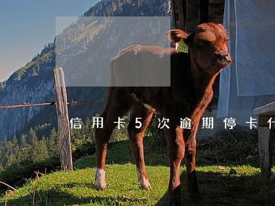信用卡5次逾期停卡什么后果 信用卡5次逾期停卡什么后果