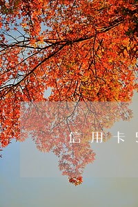 信用卡5角钱逾期7次