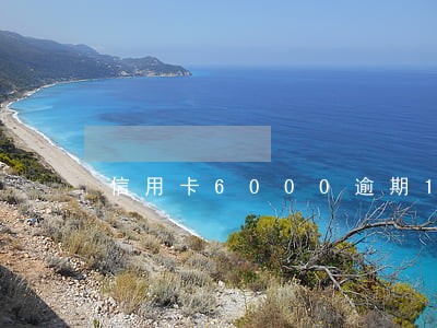 信用卡6000逾期1年