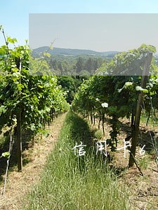 信用卡6000逾期6年 信用卡6000逾期6年
