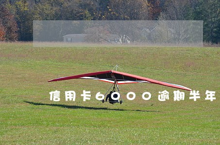 信用卡6000逾期半年