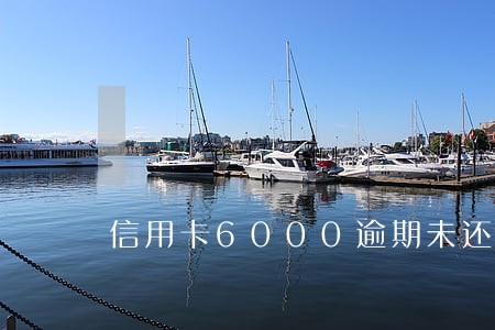 信用卡6000逾期未还 信用卡6000逾期未还
