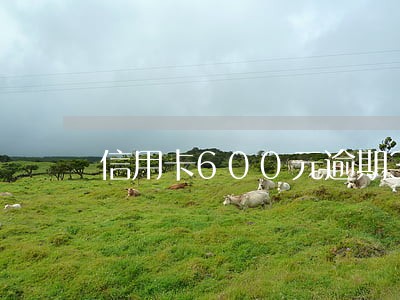 信用卡600元逾期30天