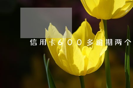 信用卡600多逾期两个月