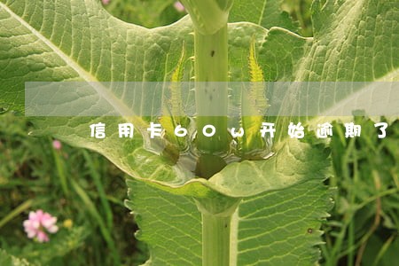 信用卡60w开始逾期了